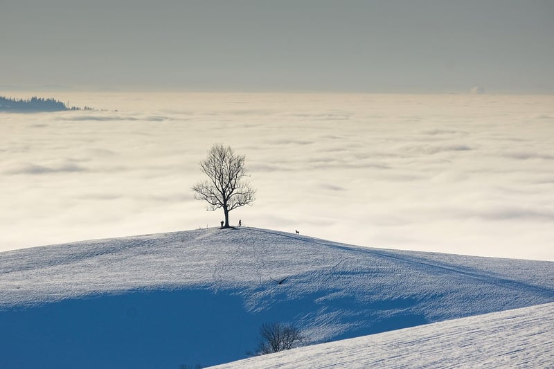 Tour du Mont Blanc